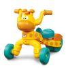 Little Tikes Go & Grow™ Lil' Rollin Giraffe
